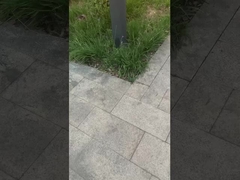 ✅ पार्क को जलाओ! लॉन को जलाओ, जीवन को जलाओ।