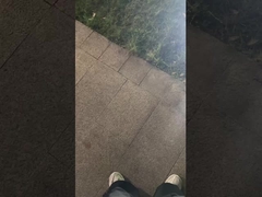 अविश्वसनीय! उद्यान के लिए लॉन लैंप देखें.