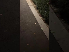 वाह! क्या एक क्लासिक बगीचा दीपक, अपनी रात को रोशन!