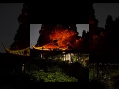 इस चमकीले ल्वान लैंप को देखें!