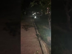 आउटडोर पथवे लाइट्स - पार्कों के लिए प्रकाश व्यवस्था