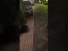 अपने जीवन को उजागर करें और एक गर्म वातावरण बनाएं - बाहरी उद्यान रोशनी