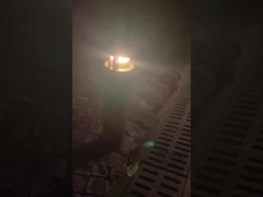 लॉन इन ऑर्डर लैंडस्केप्स के साथ आउटडोर पैरोक को रोशन करें!