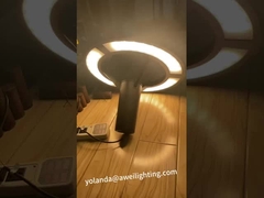 उद्यान प्रकाश परीक्षण वोल्टेज अनुकूलित प्रकाश व्यवस्था