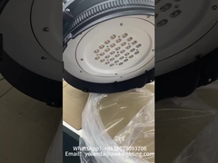 क्राउन गार्डन लाइट्स शिपमेंट के लिए तैयार की जा रही हैं!